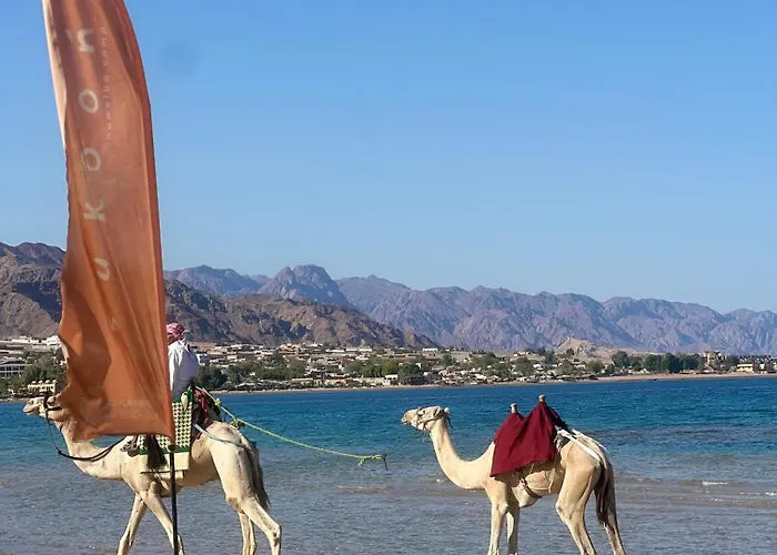 Sukoon Nuweibaa * Nuweiba`