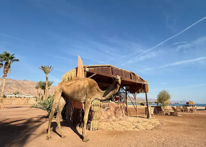 Vendégház Sukoon Nuweibaa Nuweiba`