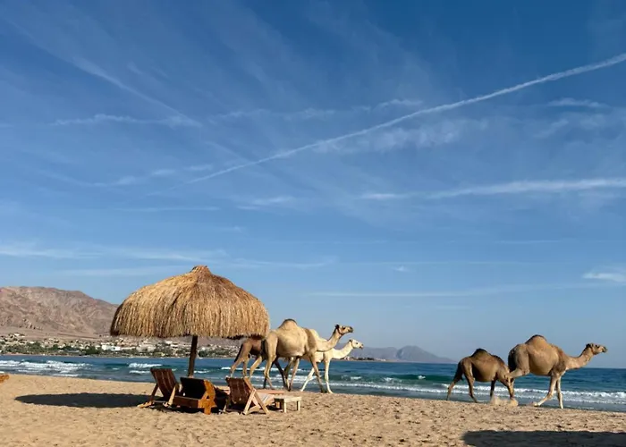 Sukoon Nuweibaa Nuweiba`